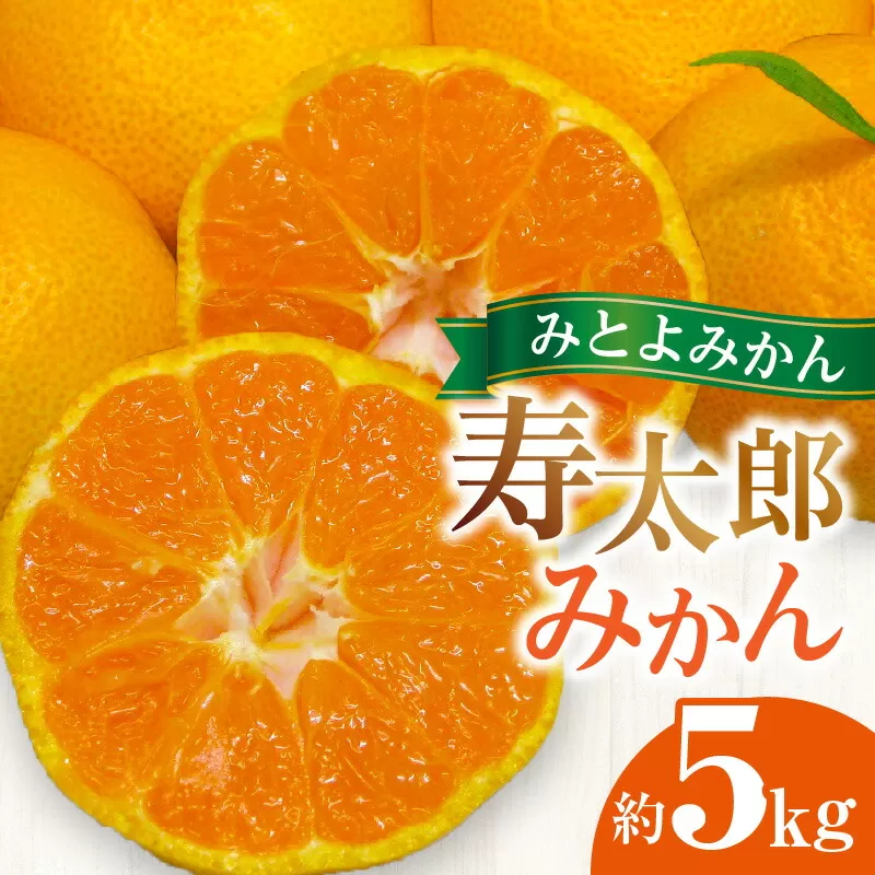 【ふるさと納税】 フルーツ デザート 果物 果実  みとよみかん 寿太郎 みかん 約5kg 甘味 酸味 柑橘 お土産 ギフト 高品質 濃厚 温州みかん 香川県 三豊市 お取り寄せ 送料無料