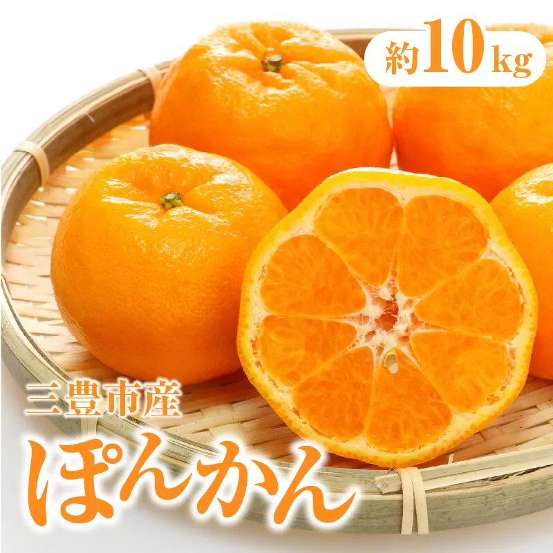 【ふるさと納税】【配送不可地域：北海道・沖縄県・離島】三豊市産ぽんかん 約10kg  秋 旬