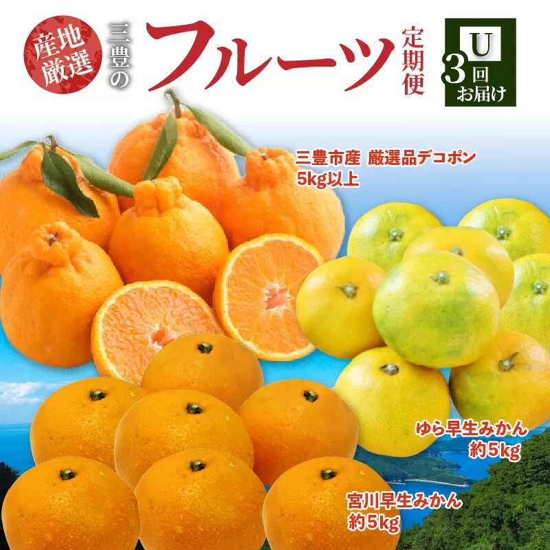 【ふるさと納税】【配送不可地域：北海道・沖縄県・離島】定期便 3回 フルーツ ゆら早生みかん 果汁たっぷり 三豊市産 厳選品 デコポン 宮川早生みかん Ｓ～Ｌサイズ 甘み 酸味 旬の季節 お届け 香川県 三豊市 お取り寄せグルメ お取り寄せ 送料無料