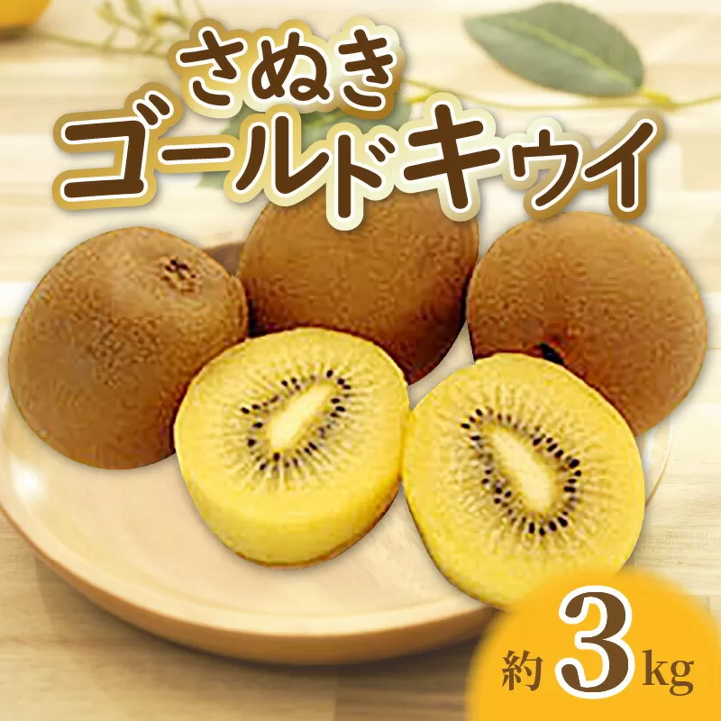 【ふるさと納税】【先行予約】【締め切り間近: 11月30日まで】【配送不可地域：北海道・沖縄県・離島】キウイフルーツ キウイ ゴールドキウイ 約 3kg 20玉〜24玉 甘い 果実 大きい 大玉 さぬきゴールドキウイ フルーツ 果物 お取り寄せ 香川県 三豊市 送料無料
