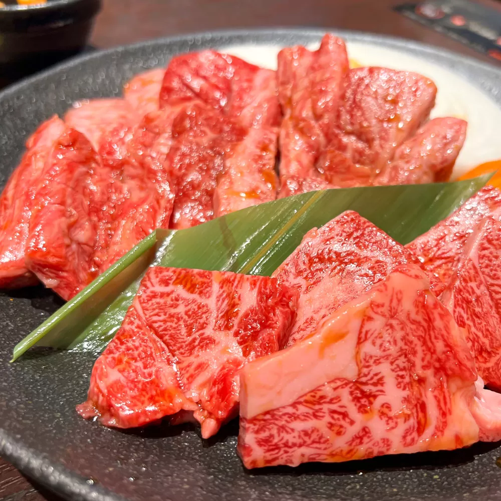 【ふるさと納税】 ハラミ 牛肉専門店の 旨辛ハラミ  500g 毎月お届け(全3回)[ ハラミ 定期便 牛ハラミ 牛肉ハラミ 焼肉 焼き肉 焼肉セット 焼肉用 焼肉専門店 味付けハラミ ピリ辛牛肉 コチュジャン BBQ アウトドア タレ漬け肉 韓国風焼肉 贈答 返礼品 三豊市 送料無料 サンエーフード ]