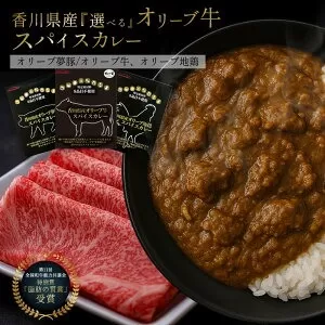 【ふるさと納税】 レトルトカレー オリーブ夢豚スパイスカレー グルテンフリー [ 詰め合わせ カレー セット 人気 グルメ ギフト 台 地鶏 送料無料 返礼品 香川県 三豊市 讃岐罐詰株式会社 ]