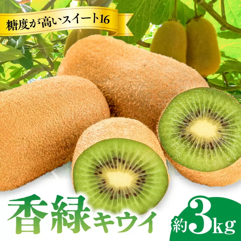【ふるさと納税】 フルーツ デザート 果物 果実 濃緑色 さぬき讃フルーツ 香緑 キウイ スイート16 約3kg エメラルドグリーン 果肉 お土産 ギフト 香川県 三豊市 お取り寄せ 送料無料