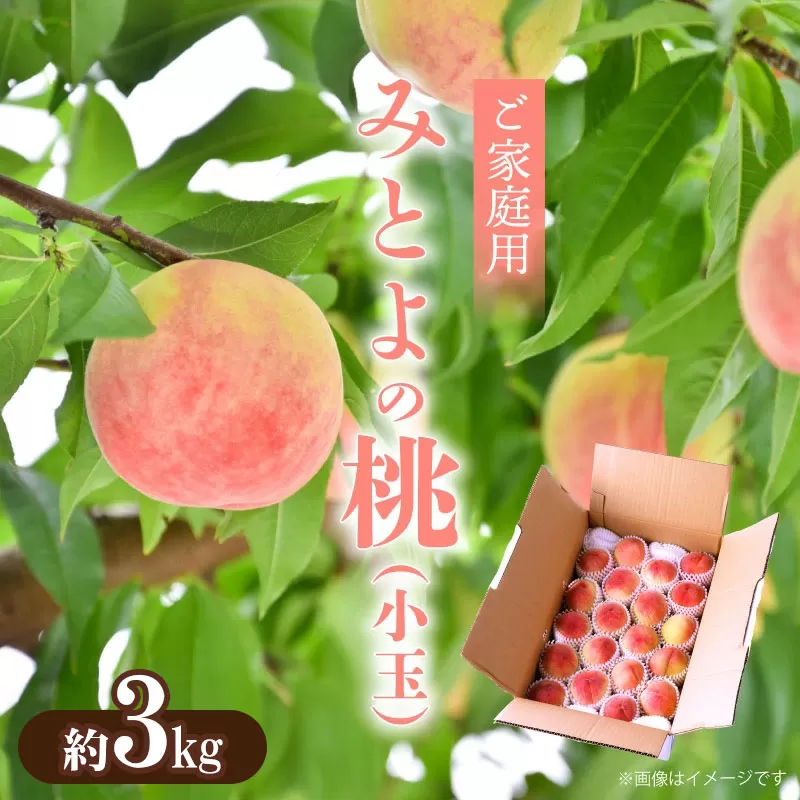 【ふるさと納税】【先行予約】【ご家庭用】【配送不可地域：北海道・沖縄県・離島】 みとよの 桃 (小玉)　約3kg もも 旬 6月中旬 果肉 3kg以上 モモ