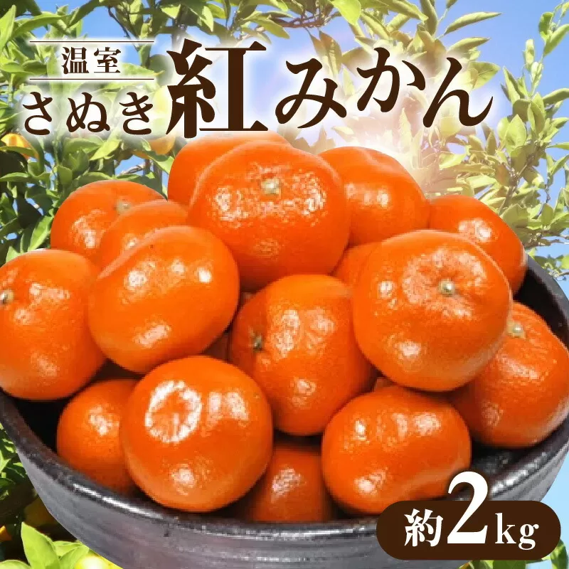 【ふるさと納税】【先行予約】 【配送不可地域：北海道・沖縄県・離島】 温室さぬき紅みかん 約2kg