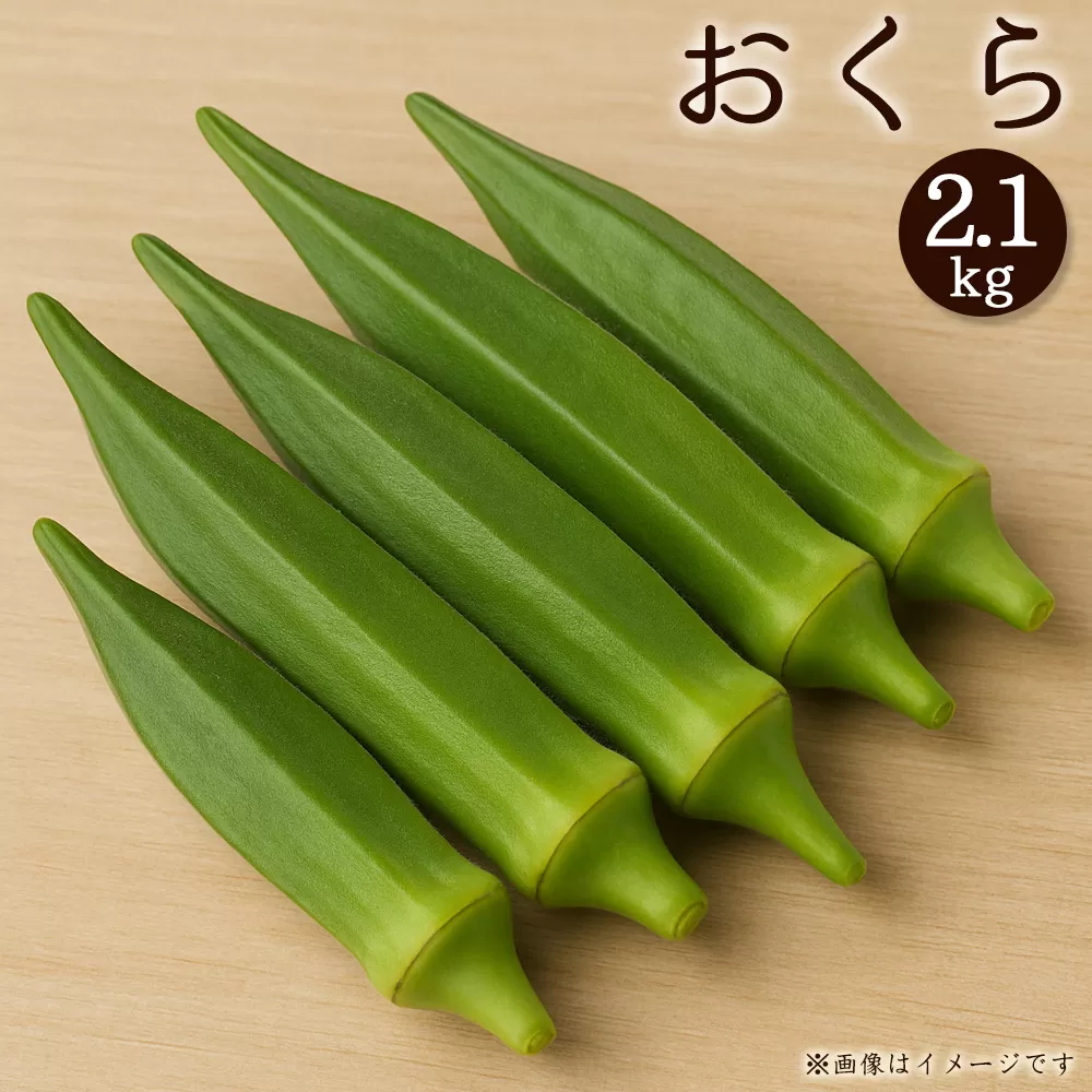 オクラ 約2.1kg