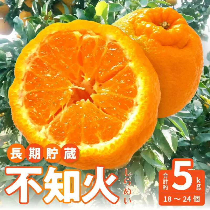 【ふるさと納税】【配送不可地域：北海道・沖縄県・離島】先行予約 不知火  交配 数量 限定 約5kg 清見 中野3号 省加温栽培 柑橘 甘い ジューシー 讃岐 フルーツ 王国 長期貯蔵 高品質 厳選 逸品 冷蔵 老舗 造田商店 香川県 三豊市 送料無料  秋 旬