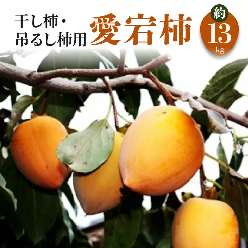 【ふるさと納税】【締め切り間近:11月20日まで】【配送不可地域：北海道・沖縄県・離島】干し柿・吊るし柿用「愛宕柿」約13kg  柿 かき kaki 直送 旬 健康効果 栄養価 送料無料 フルーツ 果物 お取り寄せグルメ 御取り寄せグルメ 詰め合わせ 詰合せ 詰合わせ 秋 旬