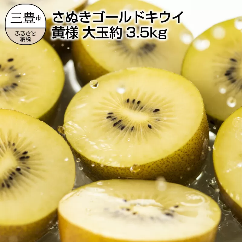 【ふるさと納税】【締め切り間近: 11月30日まで】【先行予約】 【配送不可地域：北海道・沖縄県・離島】さぬきゴールドキウイ 「黄様（おうさま）」 大玉約3.5kg  秋 旬