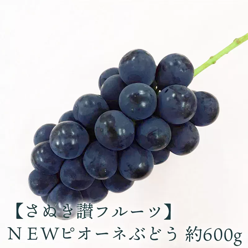 【ふるさと納税】ＮＥＷピオーネぶどう 約600ｇ さぬき讃フルーツ 甘さとジューシーさが詰まった最高級ピオーネ！ 大粒で食べごたえ抜群！ピオーネぶどう 風味豊かで甘い、完熟ピオーネ 新鮮さが自慢のさぬき讃フルーツのピオーネ  秋 旬