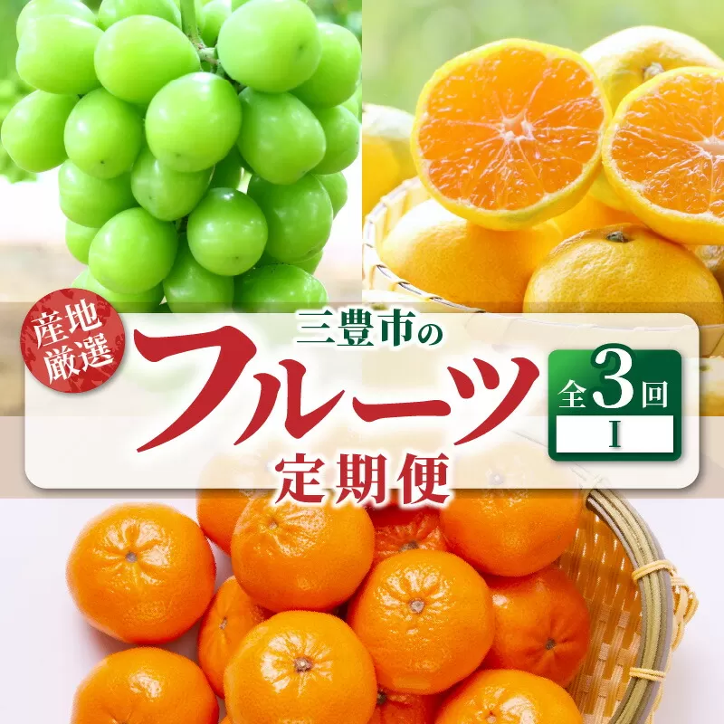 【ふるさと納税】【配送不可地域：北海道・沖縄県・離島】定期便 3回 フルーツ シャインマスカット 1房 ゆら早生みかん 果汁たっぷり 小原紅早生みかん みかん 果物 甘くて濃い 濃厚 オリジナルみかん 旬の季節にお届け 香川県 三豊市 お取り寄せ 送料無料  秋 旬