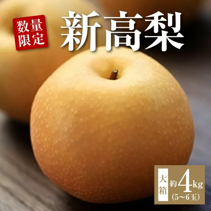 【ふるさと納税】【配送不可地域：北海道・沖縄県・離島】数量限定！平和農園 新高梨 大箱（5～6玉）＜約４kg＞