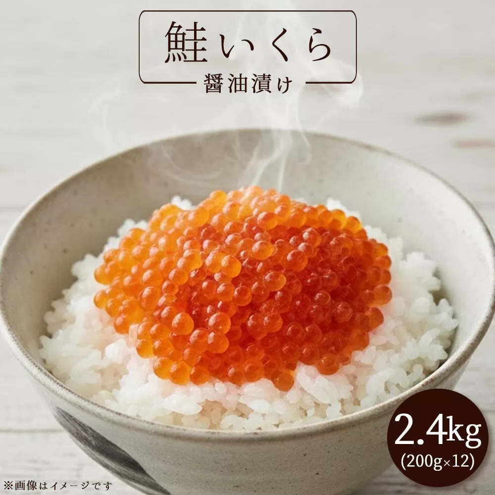 【ふるさと納税】いくら醤油漬け 2.4kg(200g×12)