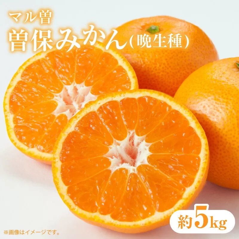 【ふるさと納税】【マル曽】【配送不可地域：北海道・沖縄県・離島】曽保みかん (晩生種) 約5kg  秋 旬