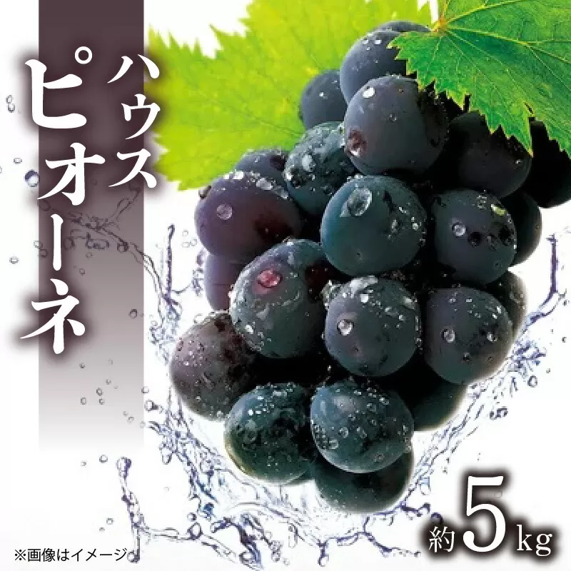 【ふるさと納税】【先行予約】 【配送不可地域：北海道・沖縄県・離島】 ハウスピオーネ　約5kg
