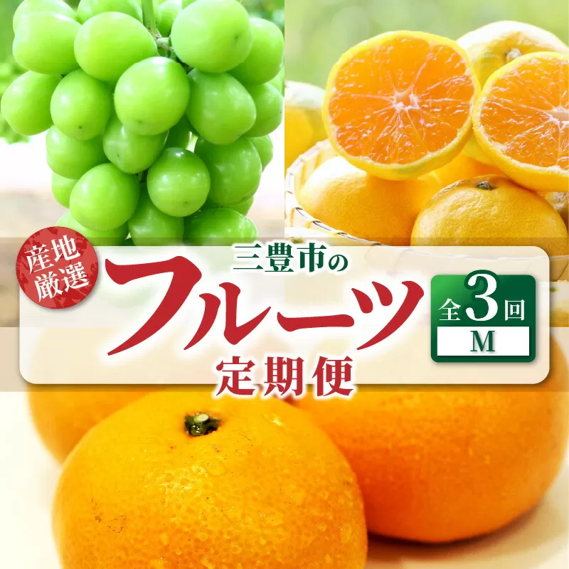 【ふるさと納税】【配送不可地域：北海道・沖縄県・離島】定期便 3回 フルーツ シャインマスカット 1房 糖度チェック 実施 ゆら早生みかん 果汁たっぷり 宮川早生みかん Ｓ～Ｌサイズ 甘み 酸味 バランス 良い 旬の季節 お届け 香川県 三豊市 お取り寄せ 送料無料