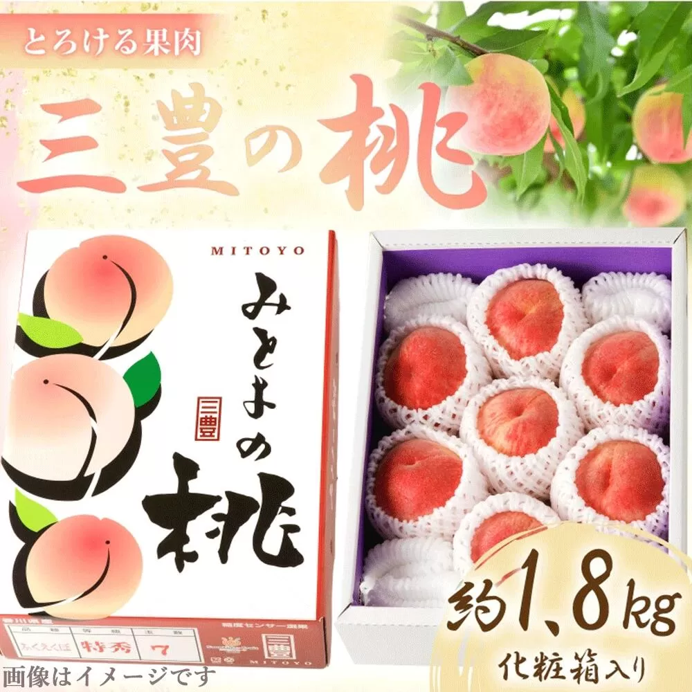 【ふるさと納税】【先行予約】  【配送不可地域：北海道・沖縄県・離島】 とろける果肉 「三豊の桃」 約1.8kg 化粧箱入り