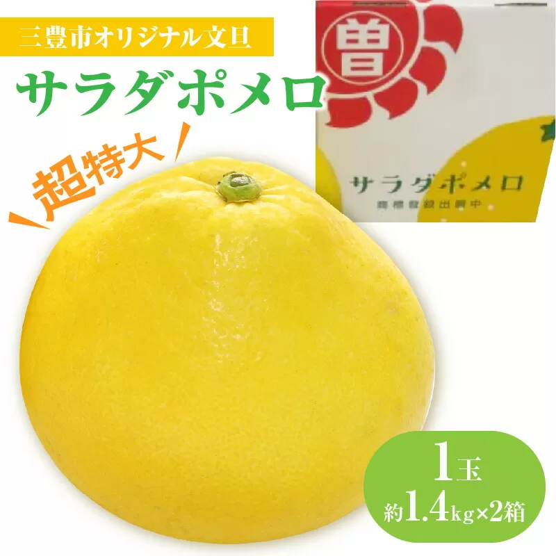 【ふるさと納税】【配送不可地域：北海道・沖縄県・離島】 みかん 文旦 1玉 約1.4kg以上 × 2箱 サラダポメロ 超特大 人の顔ほどの大きさ 皮が薄い 剥きやすい 糖度 高い 酸味 少ない 柑橘 さわやかな 香り 果実 フルーツ お取り寄せ 送料無料 香川県 三豊市  秋 旬