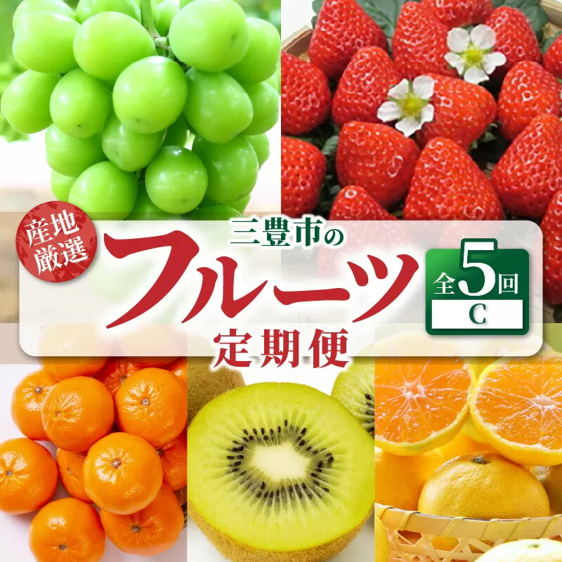 【ふるさと納税】【配送不可地域：北海道・沖縄県・離島】定期便 5回 フルーツ シャインマスカット ゆら早生みかん グリーンキウイフルーツ 2Ｌ さぬきひめ いちご 小原紅早生みかん 旬の季節 お届け 瀬戸内式気候 香川県 三豊市 お取り寄せ 送料無料