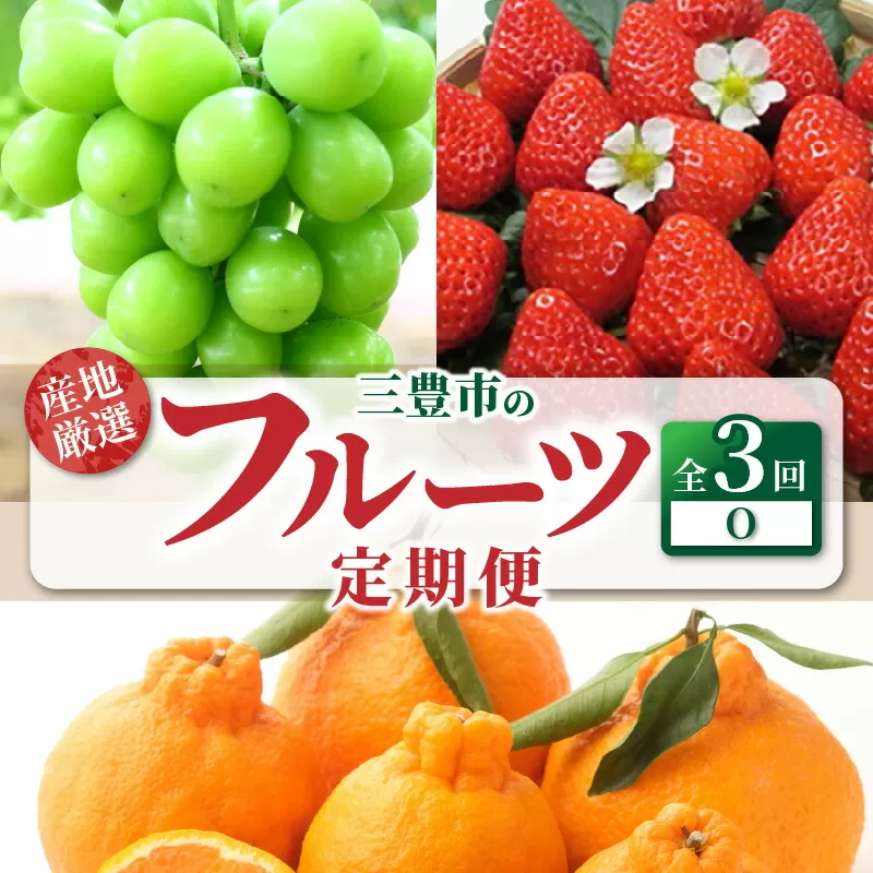 【ふるさと納税】【配送不可地域：北海道・沖縄県・離島】定期便 3回 フルーツ シャインマスカット 1房 三豊市産 厳選品デコポン 簡単 美味しく 食べれる さぬきひめ 4パック いちご 果実 大きい 旬の季節 お届け 香川県 三豊市 お取り寄せ 送料無料  秋 旬