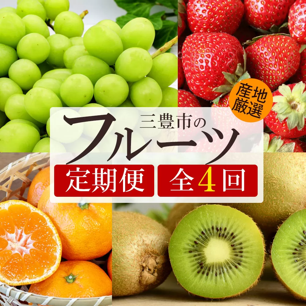 【4回定期便】シャインマスカット入り 旬のフルーツ定期便 (小原紅)