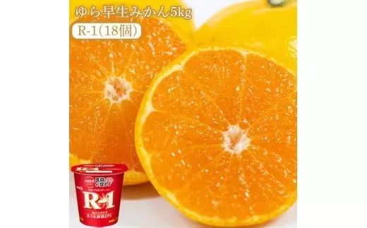 【ふるさと納税】【先行予約】【配送不可地域：北海道・沖縄県・離島】ゆら早生みかん5kgと四国明治株式会社で作られた プロビオヨーグルトR-1　18個