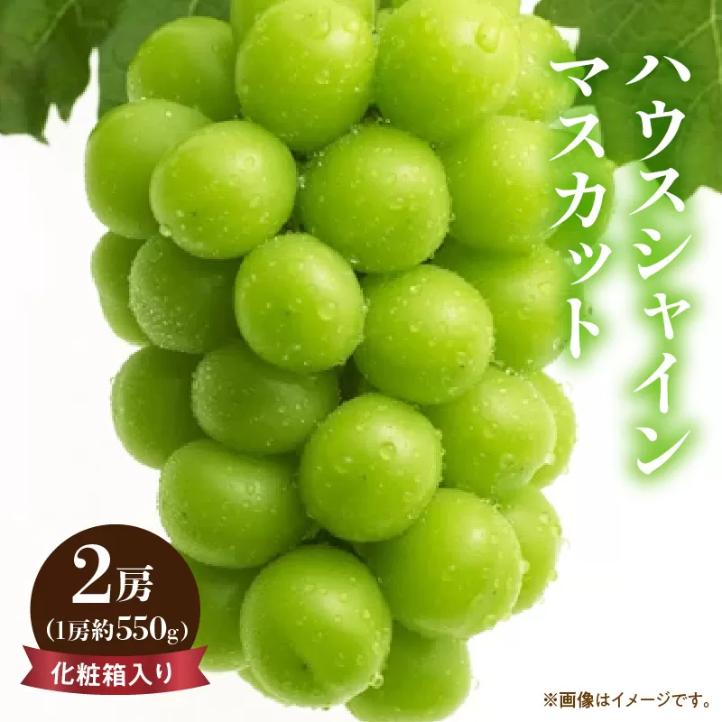 【ふるさと納税】【先行予約】【配送不可地域：北海道・沖縄県・離島】 期間限定 ハウスシャインマスカット 2房 ( 1房 約550g ) 化粧箱入り ぶどう マスカット 旬 糖度 皮ごと 種なし 送料無料 ギフト 贈答用 国産 食品 フルーツ お取り寄せ お取り寄せグルメ