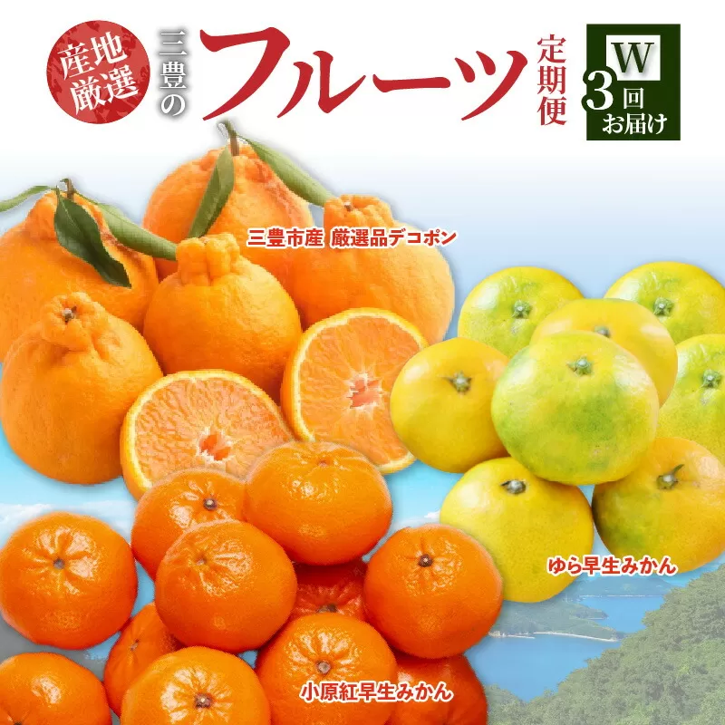 【ふるさと納税】【配送不可地域：北海道・沖縄県・離島】定期便 3回 フルーツ ゆら早生みかん 果汁たっぷり 三豊市産 厳選品デコポン 簡単 美味しく 食べれる 小原紅早生 甘くて濃い 濃厚 オリジナルみかん 旬の季節 お届け 香川県 三豊市 お取り寄せ 送料無料