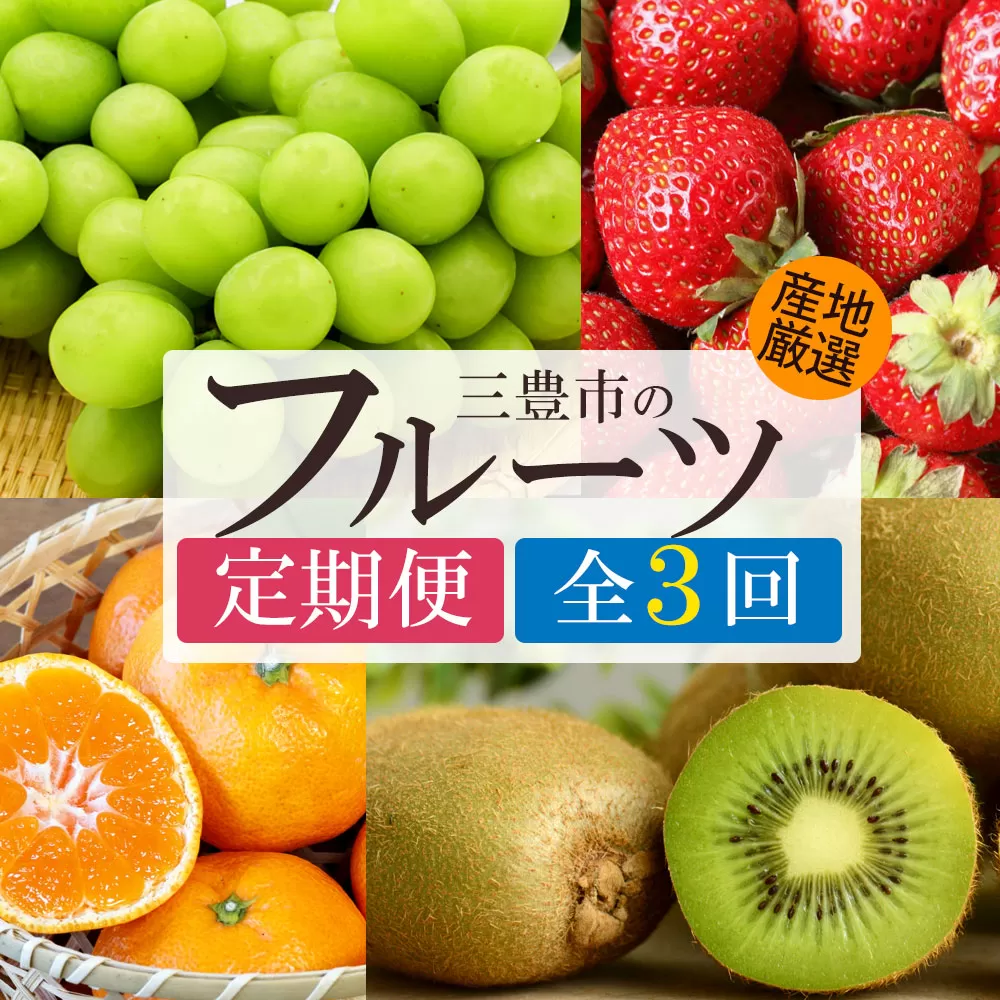 【ふるさと納税】【3回定期便】シャインマスカットと さぬき姫・旬のフルーツ (グリーンキウイ)