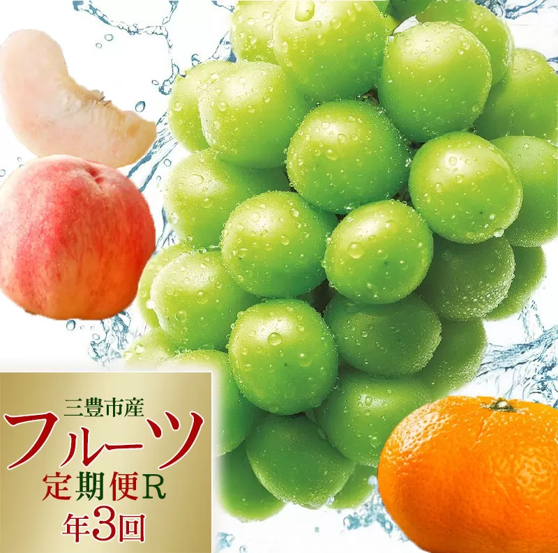 フルーツ王国みとよの特選こだわり3品定期便