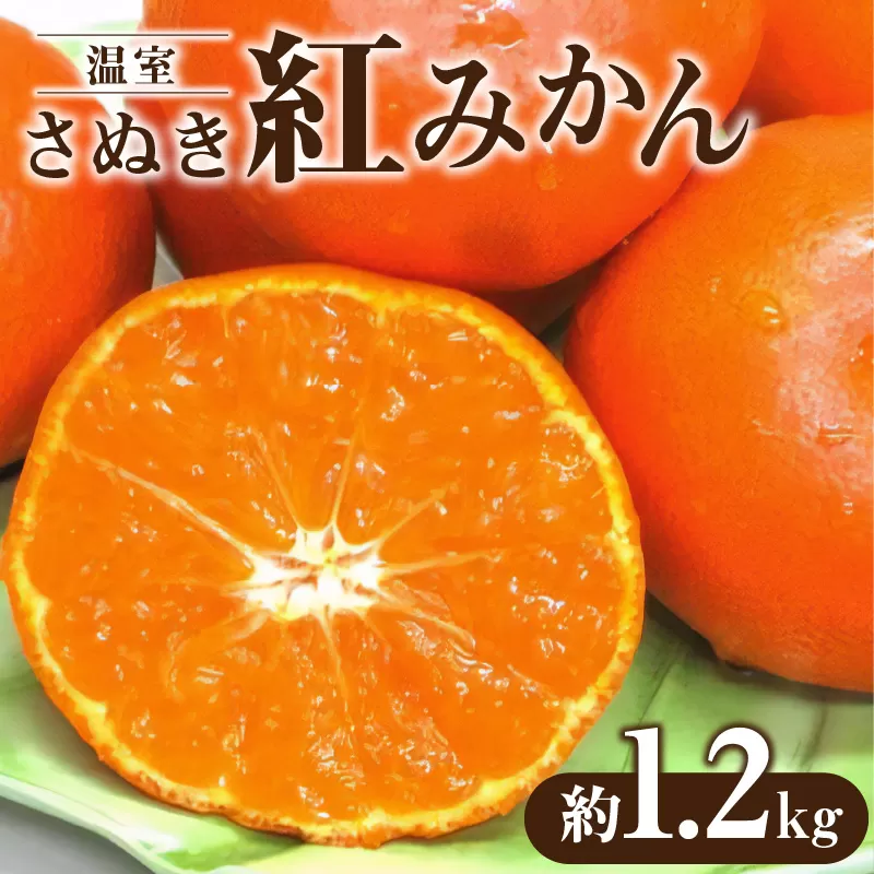 【ふるさと納税】【先行予約】【配送不可地域：北海道・沖縄県・離島】 温室さぬき紅みかん 約1.2kg 温室 さぬき 紅みかん みかん 柑橘 果物 フルーツ 高糖度 紅色 果肉 オリジナル 香川県オリジナルみかん 国産 フルーツ王国 温室栽培 香川県 三豊市 送料無料