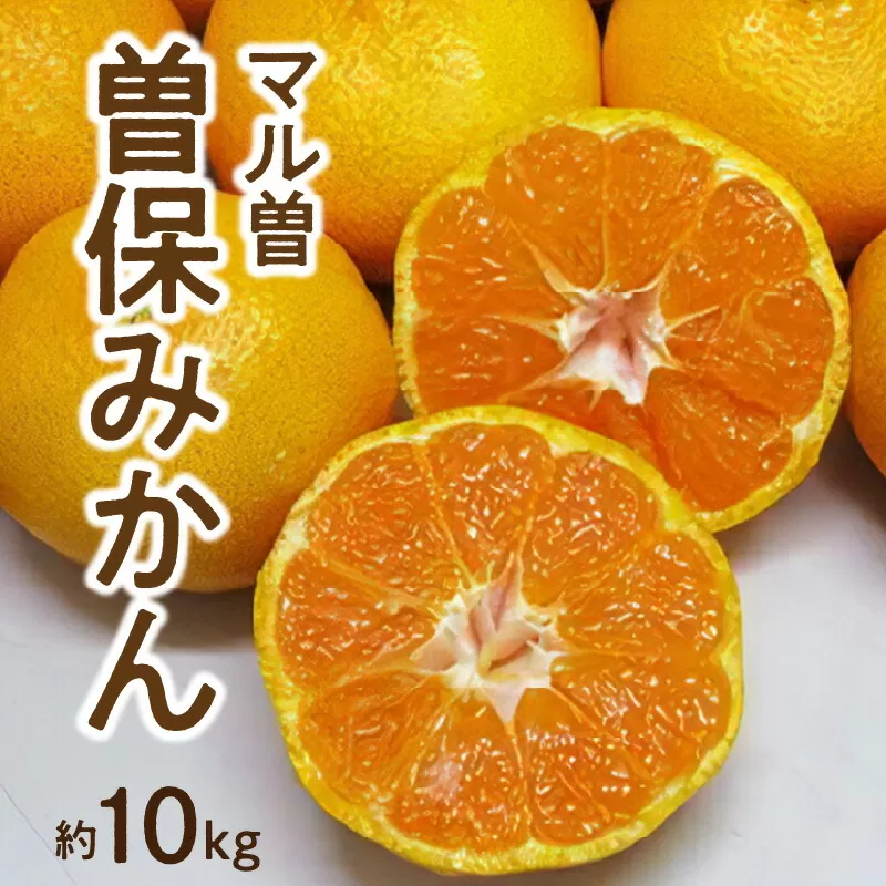 【ふるさと納税】【先行予約】【配送不可地域：北海道・沖縄県・離島】みかん 曽保みかん 約 10kg L〜Sサイズ フルーツ 果物 果実 柑橘 デザート スイーツ ジューシー 甘い 果汁 常温 食品 国産 香川県 三豊市 極早生みかん お取り寄せ 五色青果 送料無料