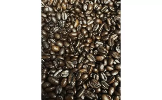 【ふるさと納税】ちちぶヶ浜水出しコーヒー専用焙煎豆
