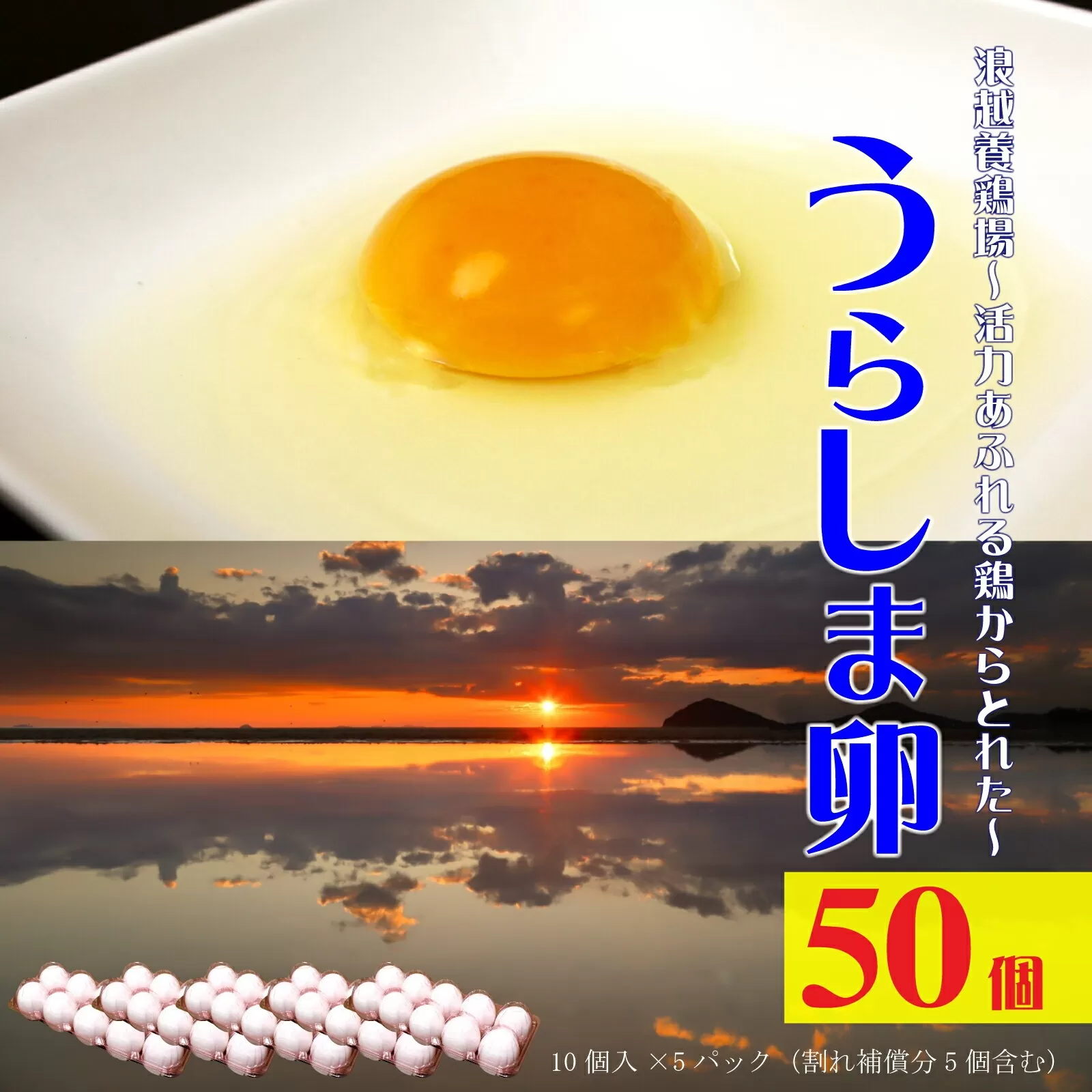 新鮮【うらしま卵】〜竜宮からの贈りもの〜たまご50個(45個+割れ補償5個)