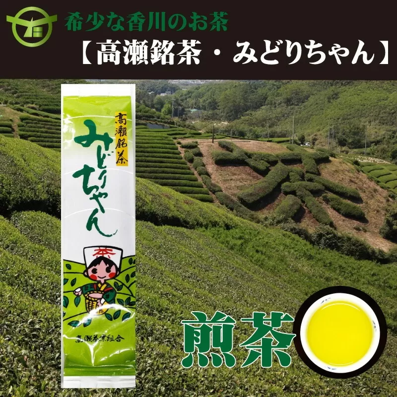 希少なお茶【高瀬銘茶】みどりちゃん煎茶（100ｇ×25袋）（三-130）