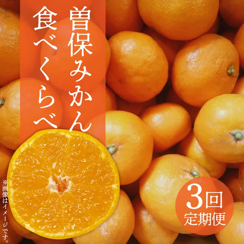 【ふるさと納税】【配送不可地域：北海道・沖縄県・離島】曽保みかん食べくらべ（3回定期便）  みかん 3ｋｇ 5ｋｇ 13ｋｇ お取り寄せ 国産 旬 新鮮 産地直送 高級 詰め合わせ 詰合せ フルーツ 定期便 果物 果物定期便 定期 ふるさと納税 フルーツ定期便 果物 秋 旬