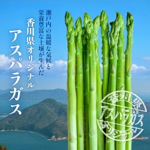さぬきのめざめ 1kg