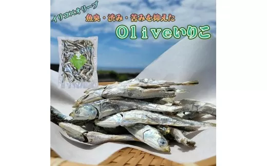【ふるさと納税】香川県三豊市産　オリーブいりこ大羽230g×3