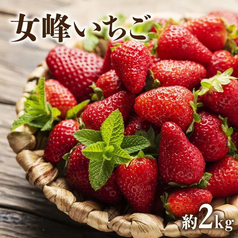 【ふるさと納税】【配送不可地域：北海道・沖縄県・離島】  女峰いちご　約２ｋｇ（1月上旬より順次発送）  秋 旬