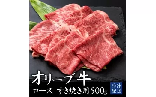 【ふるさと納税】 黒毛和牛 オリーブ牛ロース すき焼き用 500g [ 赤身 オリーブ牛 和牛 讃岐牛 すき焼き 焼き肉 ロース ランキング ブランド牛 牛肉 お肉 国産 ロース肉 送料無料 牛肉 希少部位 希少 切り落とし 三豊市 31000 30 台 返礼品 人気 セット 行天食品 ]