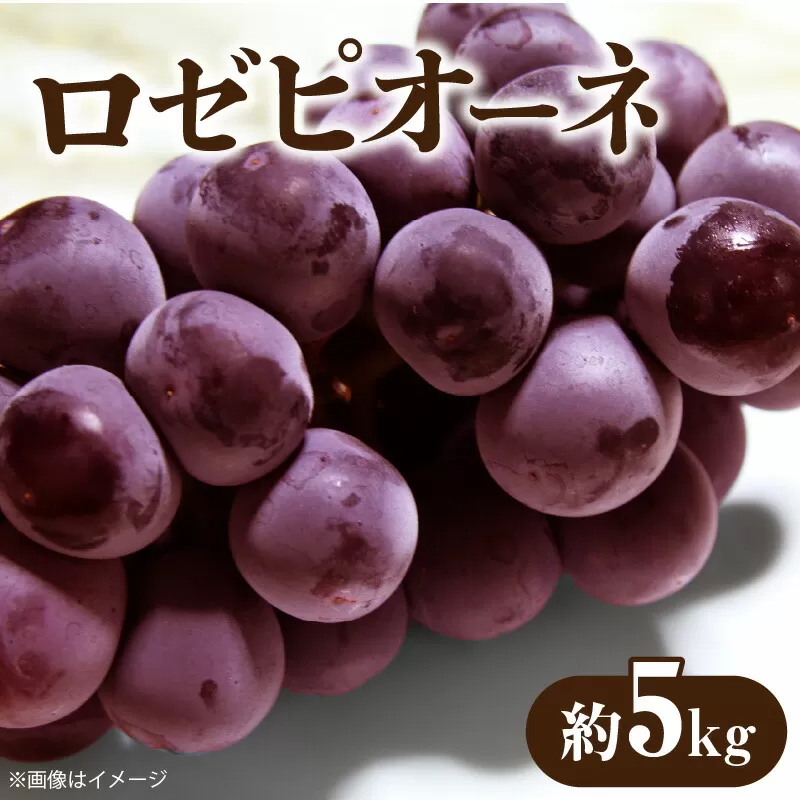 【ふるさと納税】【先行予約】【配送不可地域：北海道・沖縄県・離島】ブドウ ロゼピオーネ 約5kg 種なし ピオーネ 大粒 濃厚 人気 フルーツ 果物 デザート ギフト 贈り物 プレゼント 冷蔵 グルメ お取り寄せ お取り寄せグルメ 食べ物 香川県 三豊市 送料無料