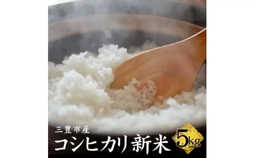 【ふるさと納税】コシヒカリ　新米　5kg 【 まとめ買い 白米 精米 白ご飯 おにぎり ごはん 食品 料理 贈り物 国産 香川県 三豊市 お取り寄せグルメ お取り寄せ 送料無料 返礼品 マミィギフト香川 】