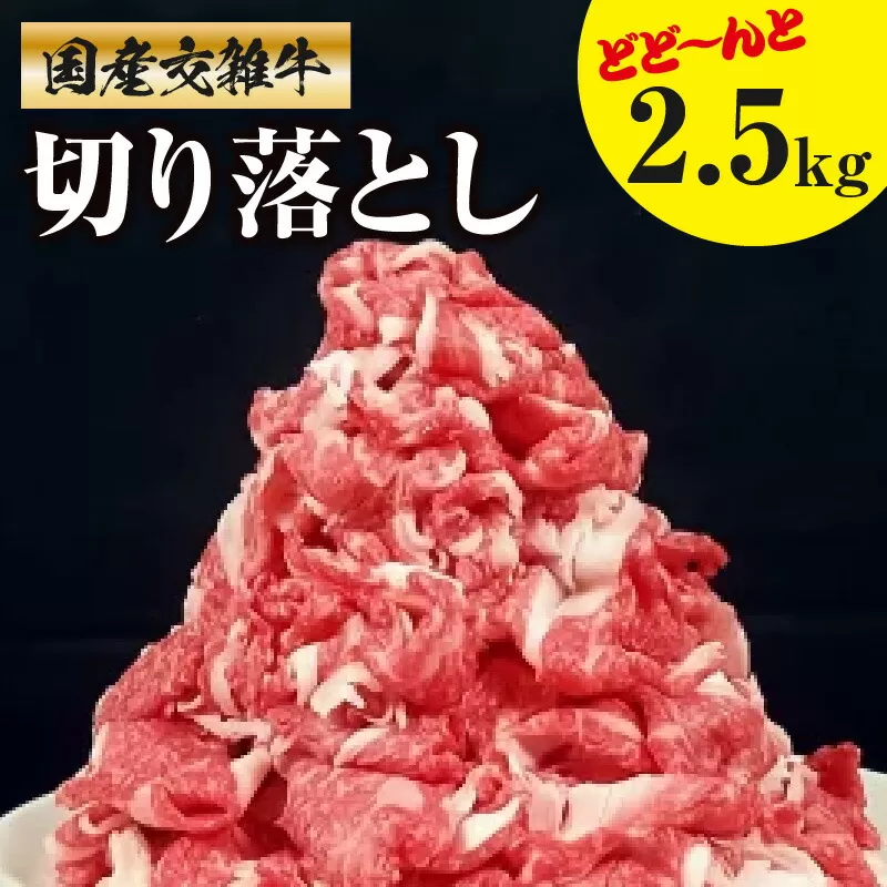 【ふるさと納税】牛肉 牛切り落とし 約500g×5 総重量2.5kg [ 讃岐牛 すき焼き しゃぶしゃぶ 焼肉 ランキング ブランド牛 小間 牛肉 お肉 国産 一押し 送料無料 牛肉 切り落とし 交雑牛 三豊市 30000 30, 台 32000 返礼品 人気 セット サヌキ畜産フーズ ]