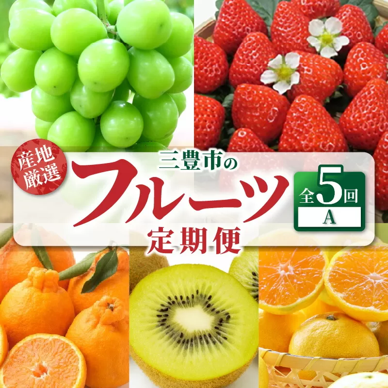 【ふるさと納税】【配送不可地域：北海道・沖縄県・離島】フルーツ 定期便 A 5回 旬の果物 送料無料 産地直送 厳選 お取り寄せ ギフト 三豊 さぬきひめ いちご デコポン シャインマスカット みかん ゆら早生みかん  キウイ グリーンキウイフルーツ  秋 旬