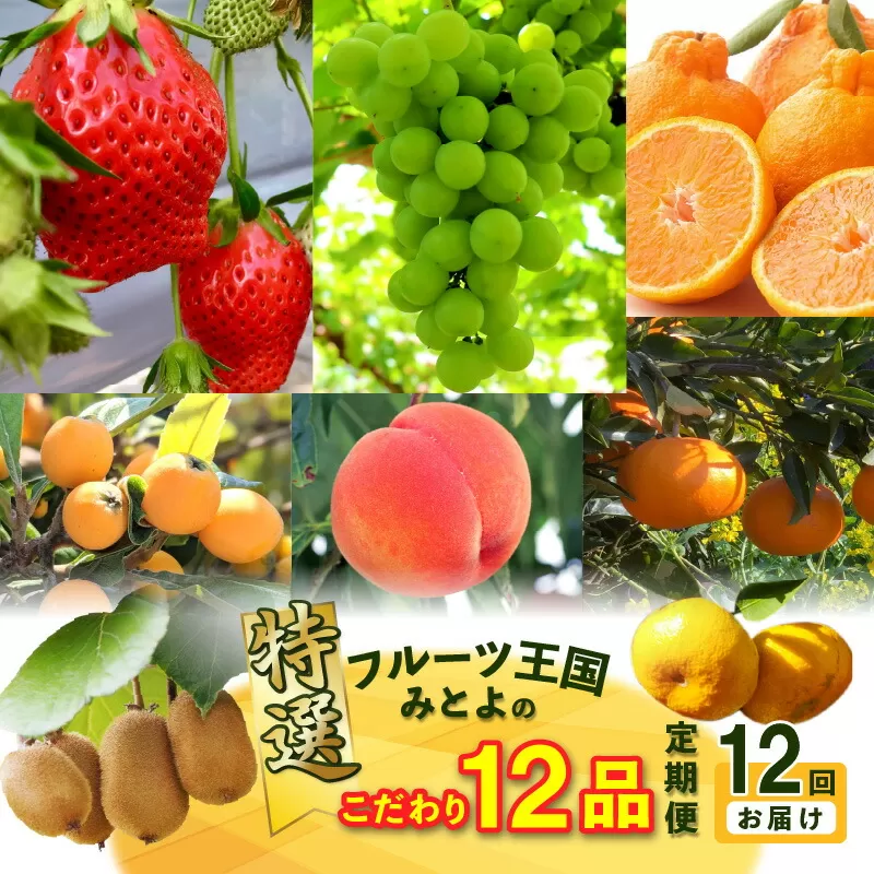 【ふるさと納税】【配送不可地域：北海道・沖縄県・離島】フルーツ 定期便 12回 特選 こだわり 12品 果物 産地直送 みかん いちご びわ マスカット 桃 キウイ シャインマスカット せとか デコポン 三豊市  フルーツ 詰め合わせ 定期 旬 新鮮 高級 詰め合せ