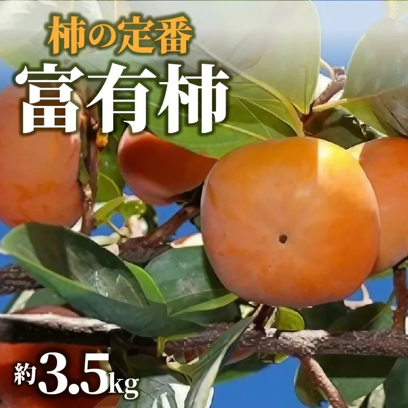 【ふるさと納税】【先行予約】【配送不可地域：北海道・沖縄県・離島】柿の定番「富有柿」約3.5kg  柿 カキ かき kaki 直送 新鮮 旬 オーガニック 健康効果 保存方法 美容効果 栄養価 送料無料 フルーツ 果物 お取り寄せグルメ 詰め合わせ 詰合せ 大粒 高級 秋 旬
