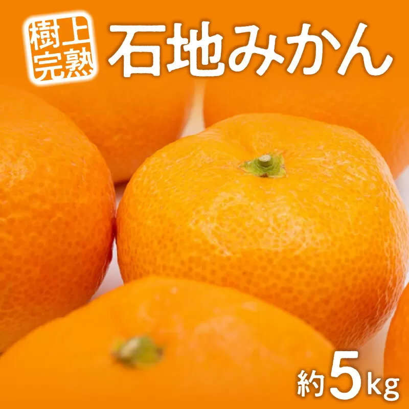 【ふるさと納税】【先行予約】【配送不可地域：北海道・沖縄県・離島】みかん 約 5kg L〜S サイズ 樹上完熟 石地ミカン 皮 剥きやすい 内皮薄い 食べやすい 糖度高い 三豊市 果物 フルーツ 柑橘類 お取り寄せ お取り寄せフルーツ 送料無料  秋 旬