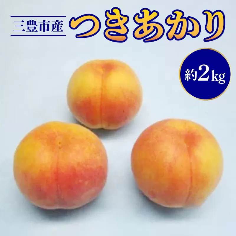 【ふるさと納税】数量限定！先行予約販売開始★ 神田農園の人気産地直送 桃「つきあかり」 約2kg（6玉） [ フルーツ 名産品 桃 もも モモ 果物 くだもの 取り寄せグルメ 三豊市 15000 15, 返礼品 神田桃園 ] ※配送不可地域：北海道・沖縄県・離島