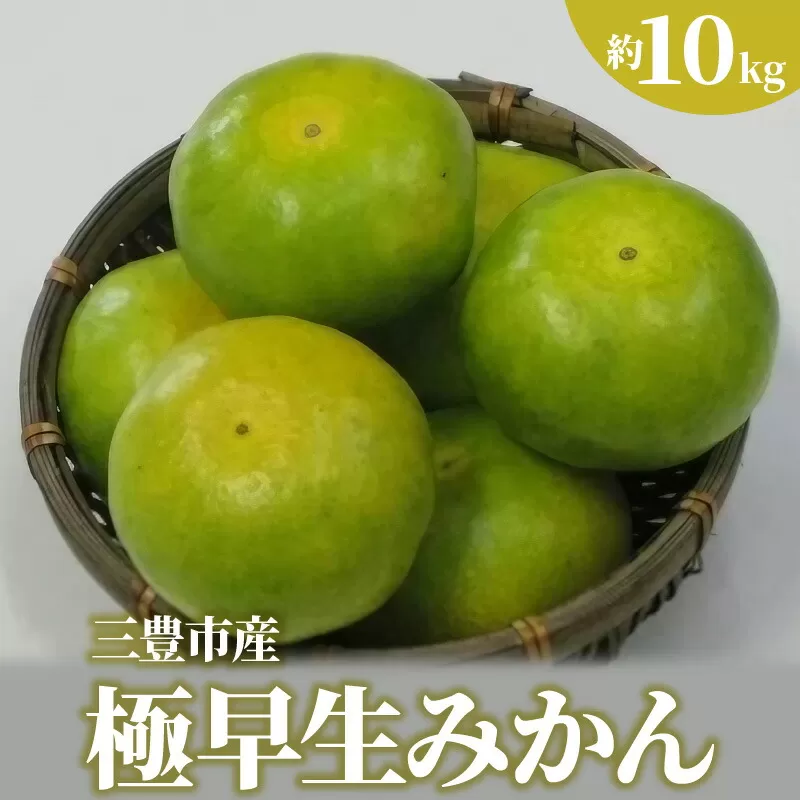 【ふるさと納税】【先行予約】【配送不可地域：北海道・沖縄県・離島】三豊市産極早生みかん 約10kg  秋 旬