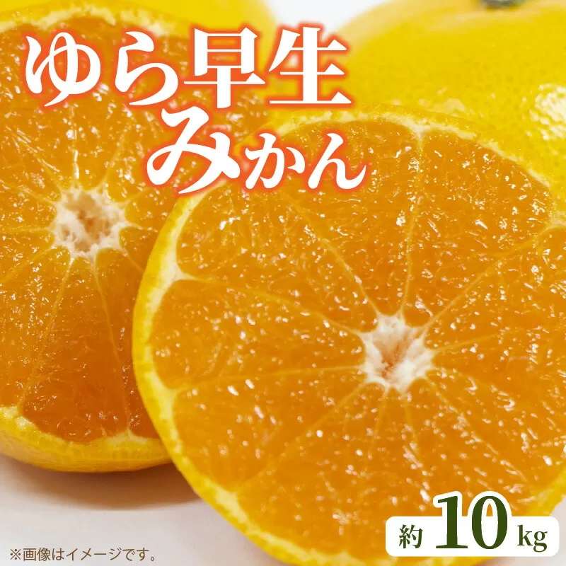 【ふるさと納税】【先行予約】 ゆら早生みかん 約10kg